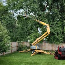 Best Lawn Dethatching  in Albany, OR