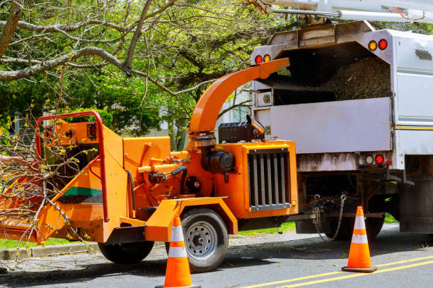 Mulching Services in Albany, OR